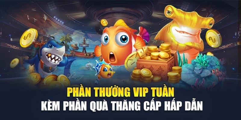 Phần thưởng VIP tuần kèm phần quà thăng cấp hấp dẫn